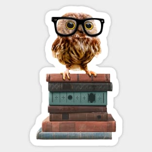 Adorable Nerdy Owl with Glasses on Books Sticker